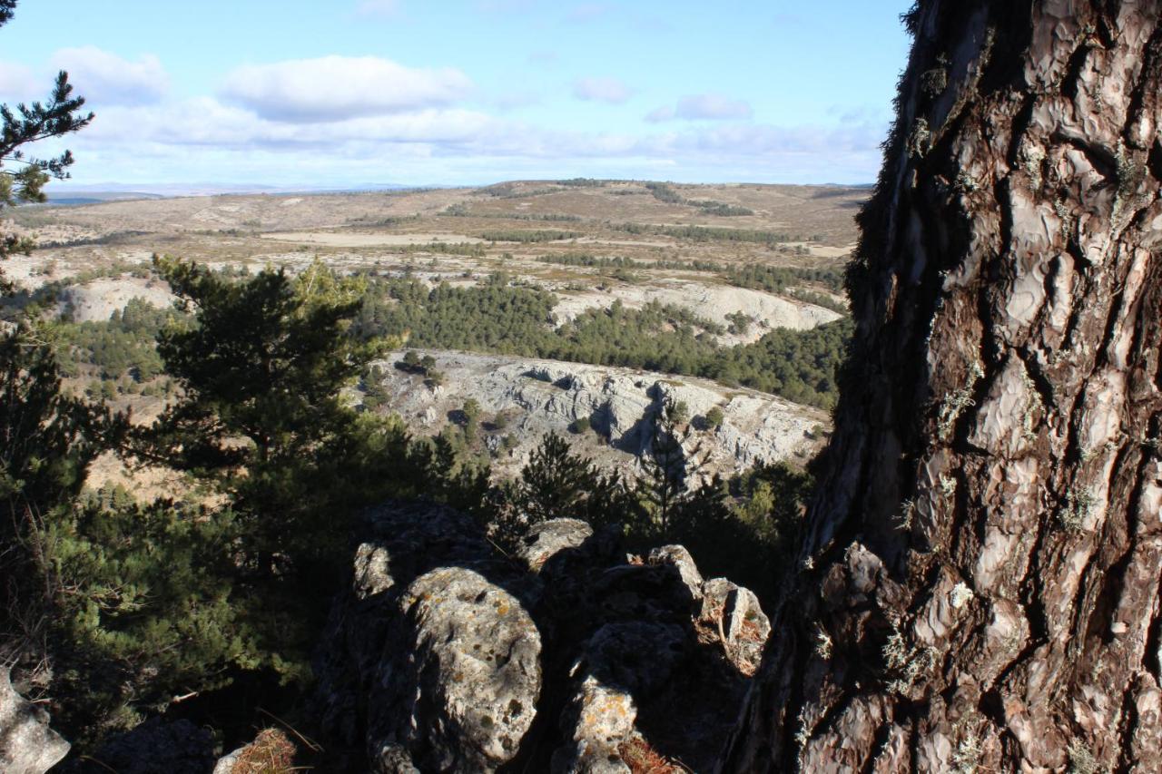 Casas Rurales Chon Alto Tajo Peralejos de las Truchas Exteriér fotografie