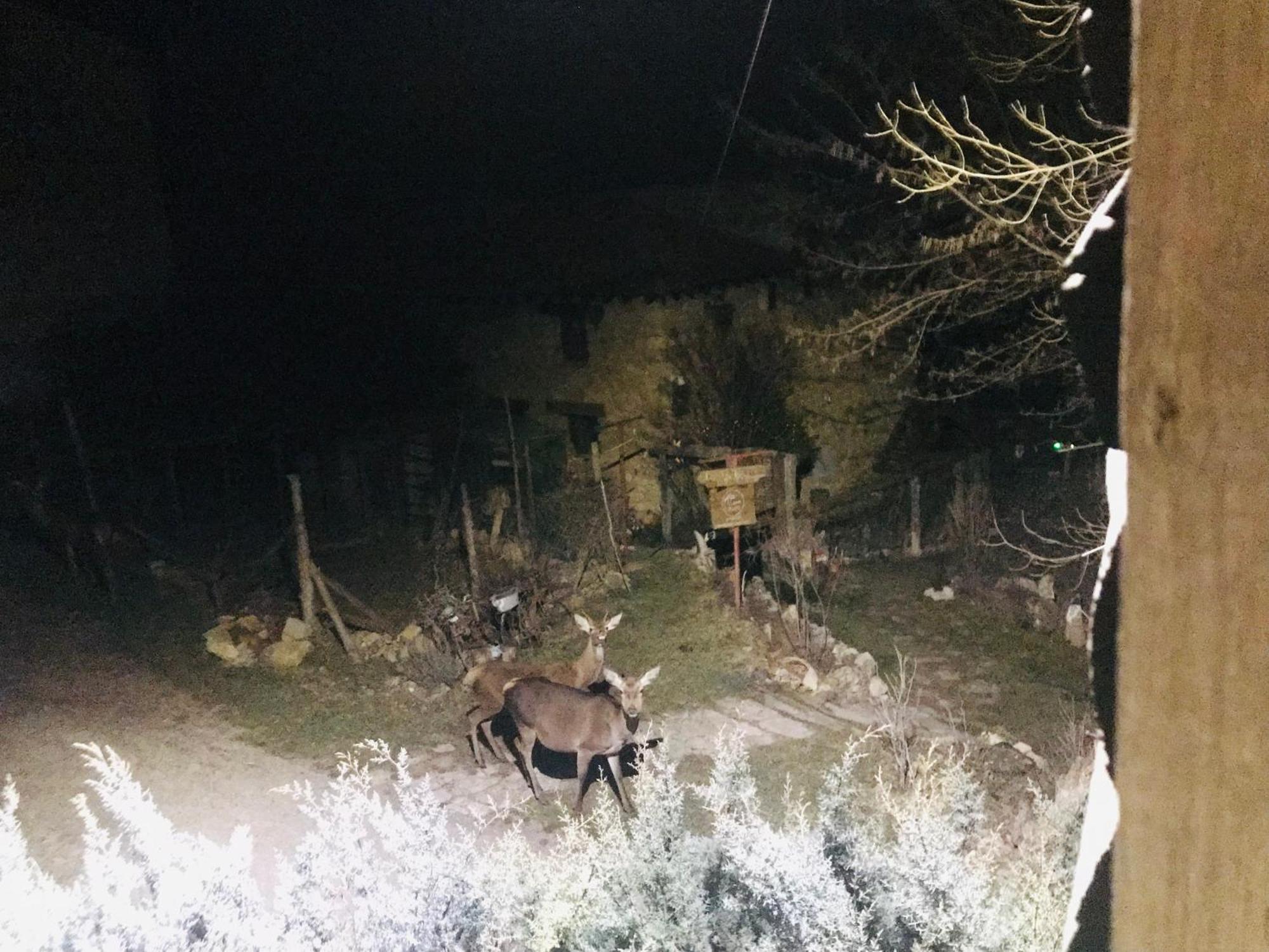 Casas Rurales Chon Alto Tajo Peralejos de las Truchas Exteriér fotografie