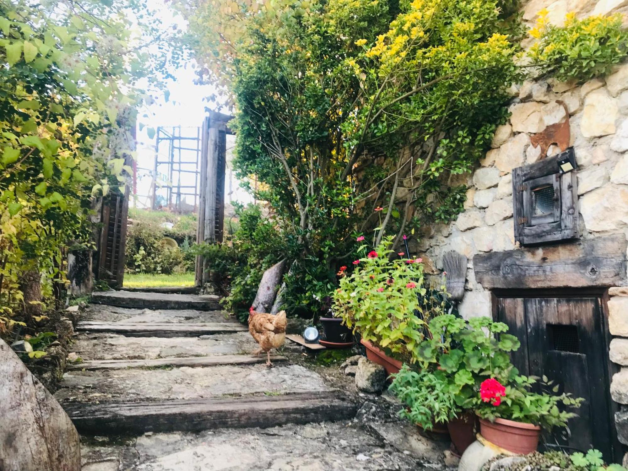 Casas Rurales Chon Alto Tajo Peralejos de las Truchas Exteriér fotografie