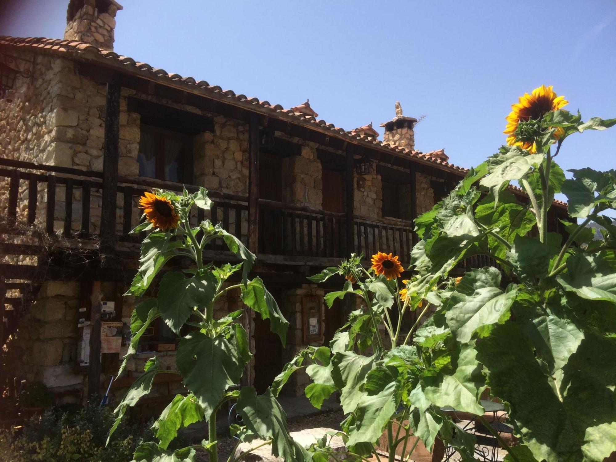 Casas Rurales Chon Alto Tajo Peralejos de las Truchas Exteriér fotografie