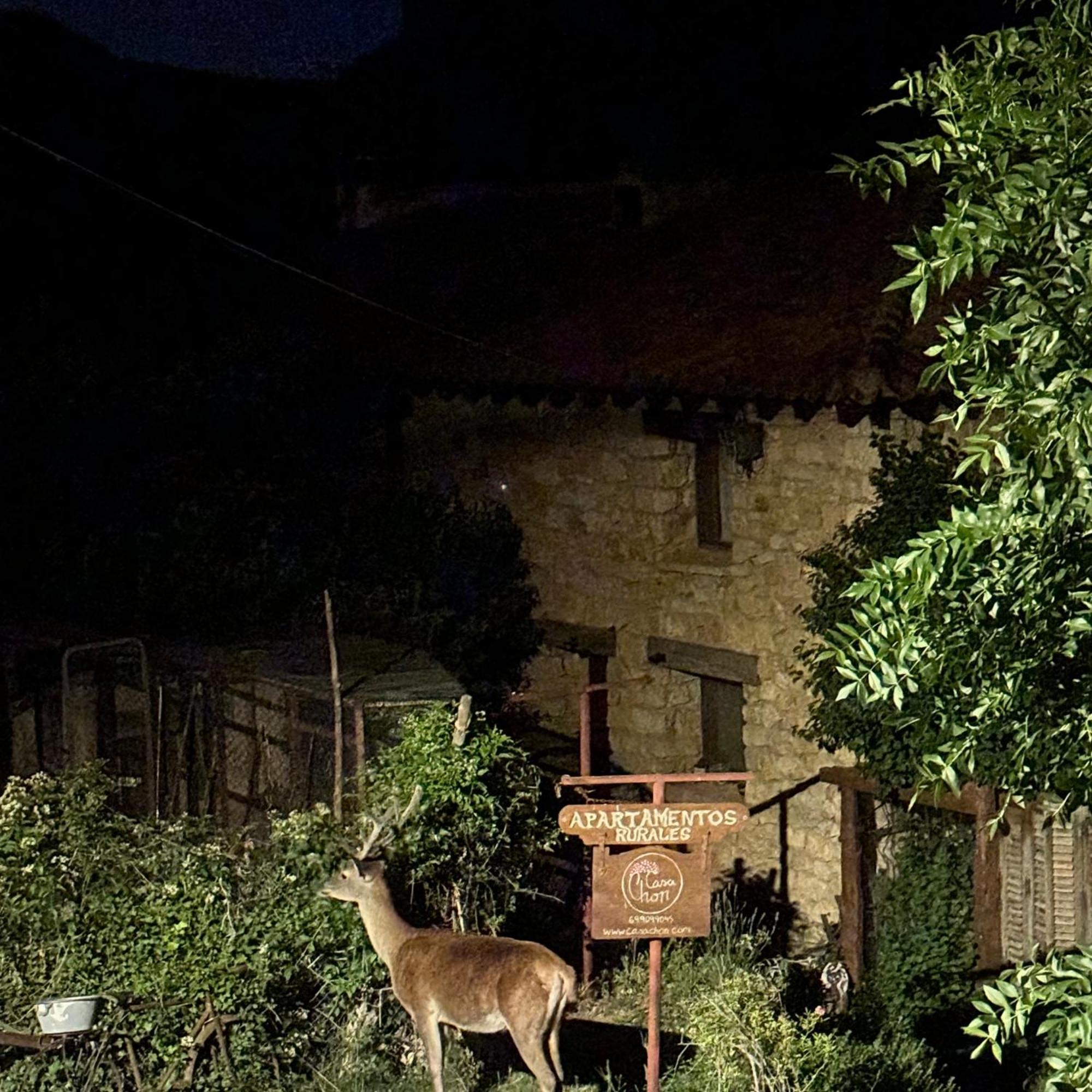 Casas Rurales Chon Alto Tajo Peralejos de las Truchas Exteriér fotografie